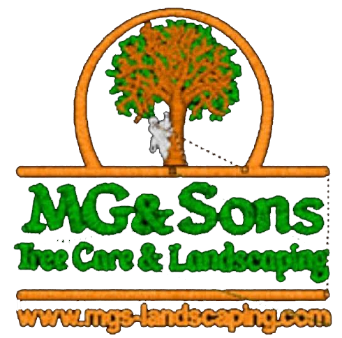 Tree Care And Landscaping Dublin